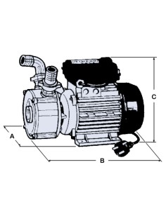Bomba reversible para gas-oil BE-30M 1Cv "oferta"