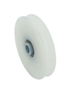 Polea Nylon 120x10U